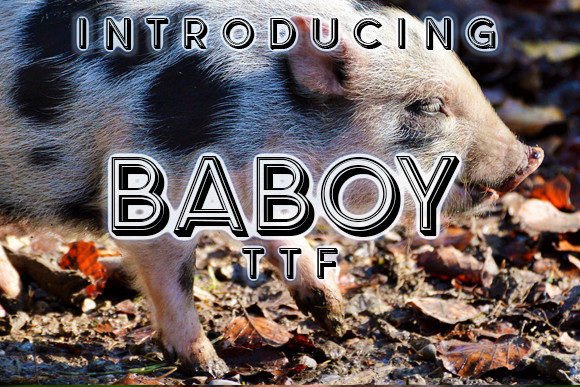 Baboy Typeface Review: A Bold 3D Display Font for Creative Brands