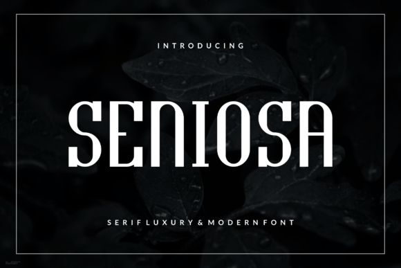 Seniosa: The Modern Typeface That Elevates Handmade Brands
