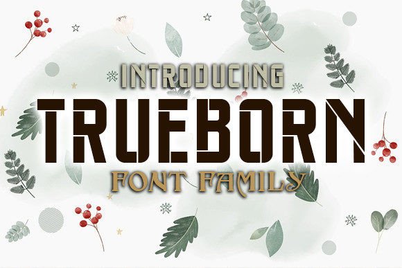 Trueborn: The Autumn Display Font for Polished Brand Identity